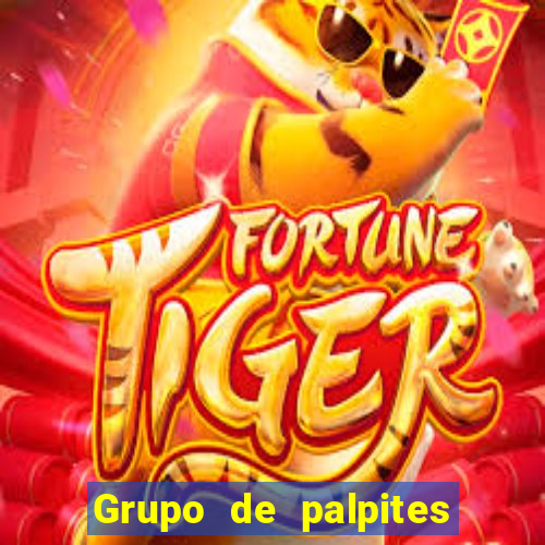 Grupo de palpites de futebol gratis